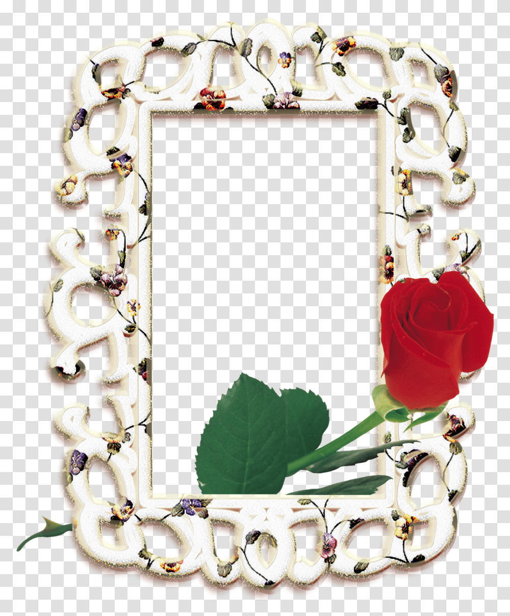 Picture Frame, Plant, Mirror, Flower, Blossom Transparent Png