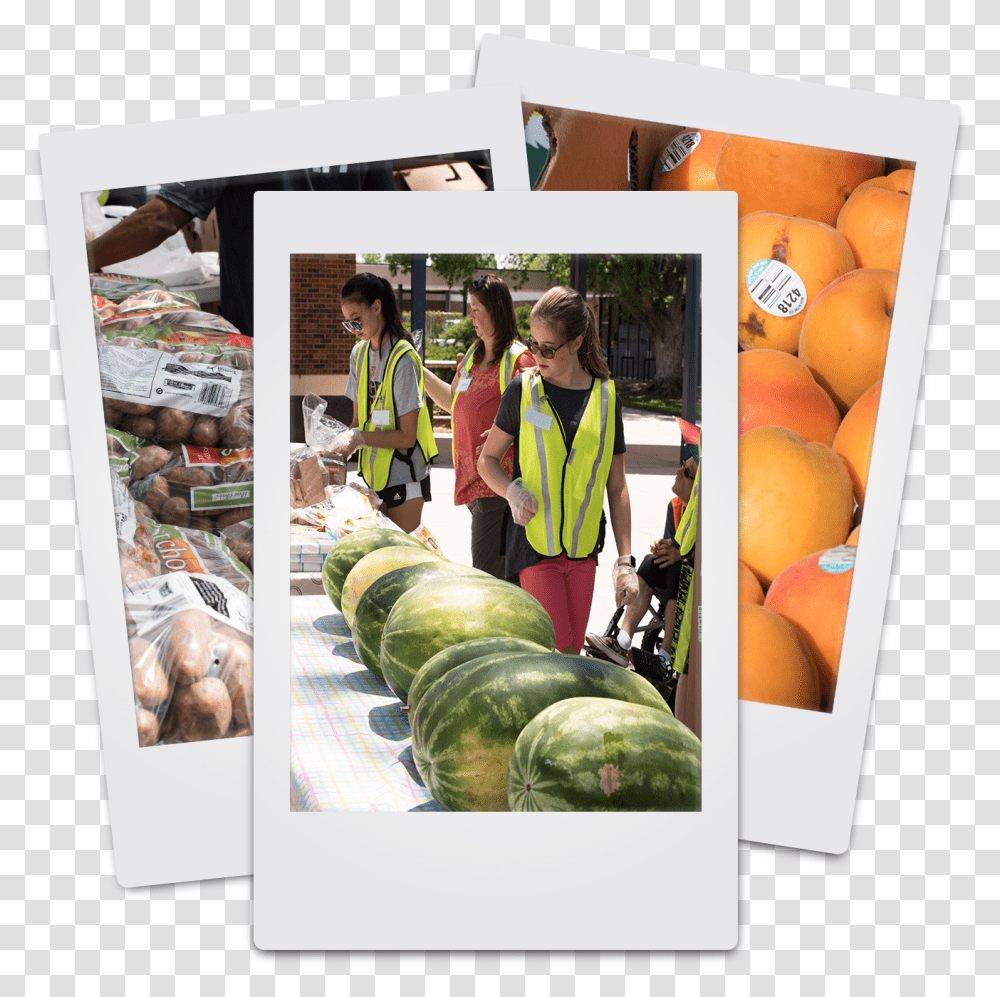 Picture Frame, Plant, Person, Human, Fruit Transparent Png