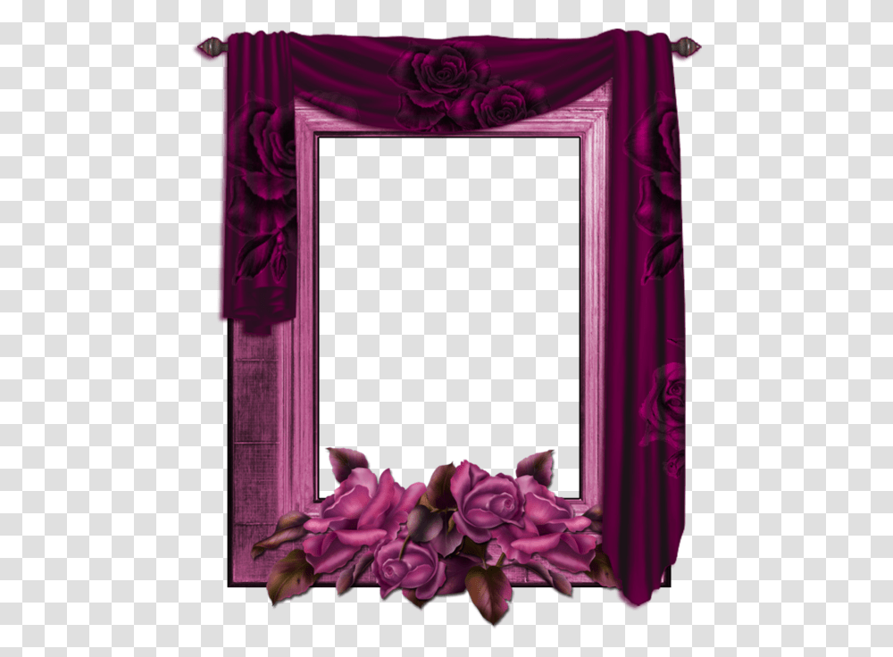 Picture Frame, Purple, Plant, Flower, Blossom Transparent Png