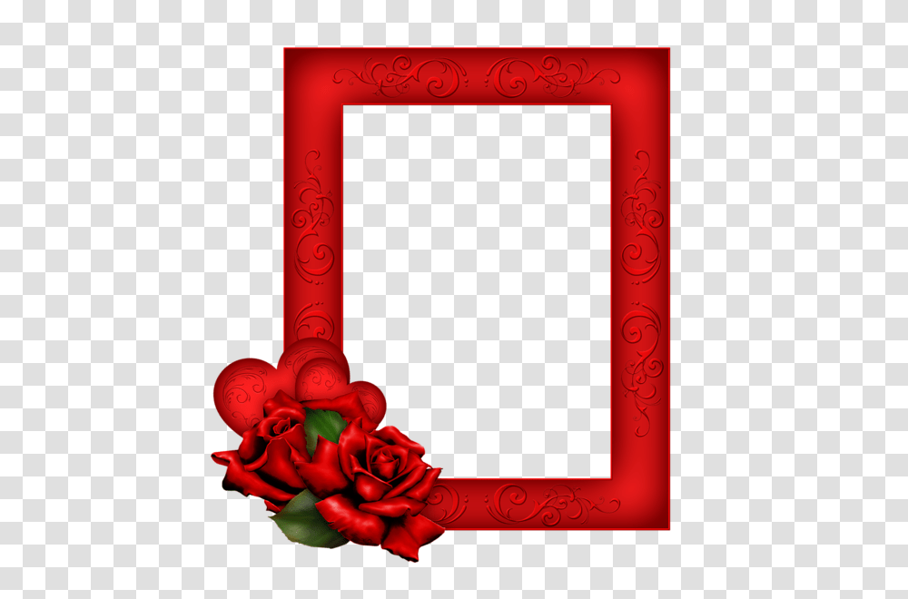 Picture Frame, Rose, Flower, Plant, Blossom Transparent Png