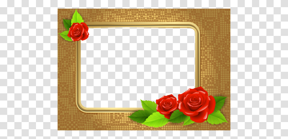 Picture Frame, Rose, Flower, Plant, Blossom Transparent Png