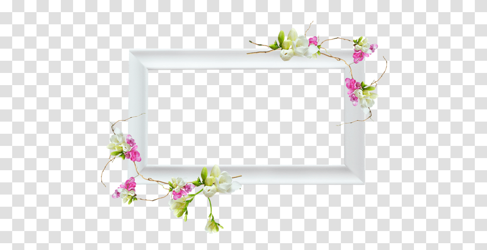 Picture Frame, Tabletop, Furniture, Plant, Flower Transparent Png