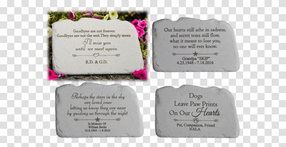 Picture Frame, Petal, Flower, Label Transparent Png