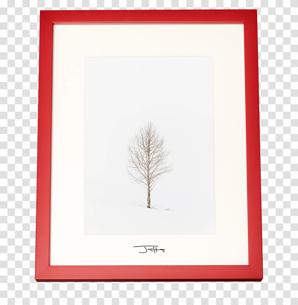 Picture Frame, Tree, Plant, Canvas Transparent Png