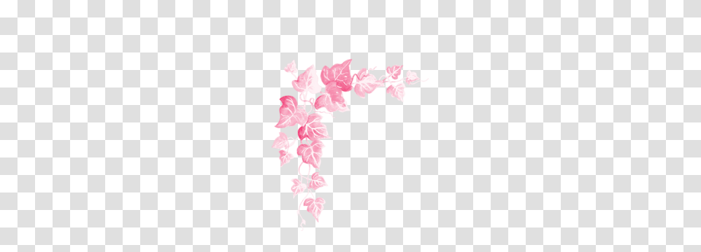 Picture Frames Pink Leaves, Plant, Flower, Blossom, Cherry Blossom Transparent Png