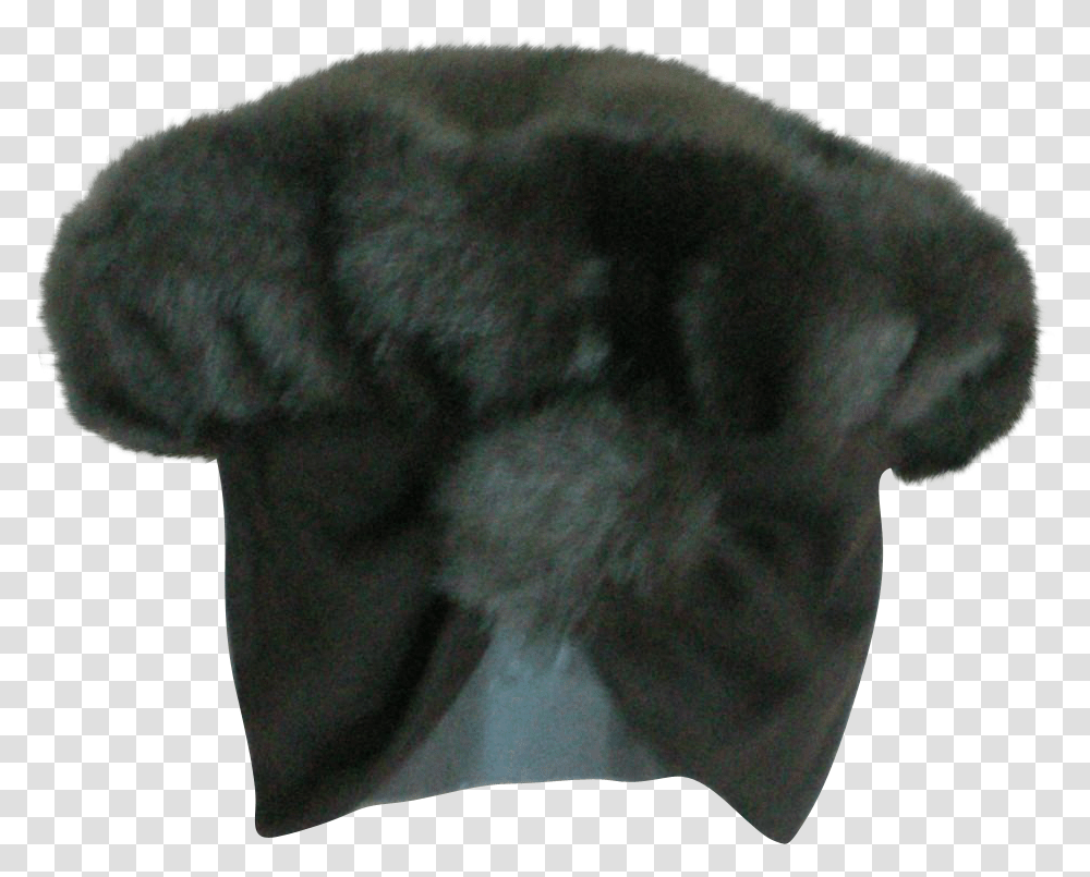 Picture Free Faux Fur Hat With Beanie, Sleeve, Sweatshirt, Sweater Transparent Png
