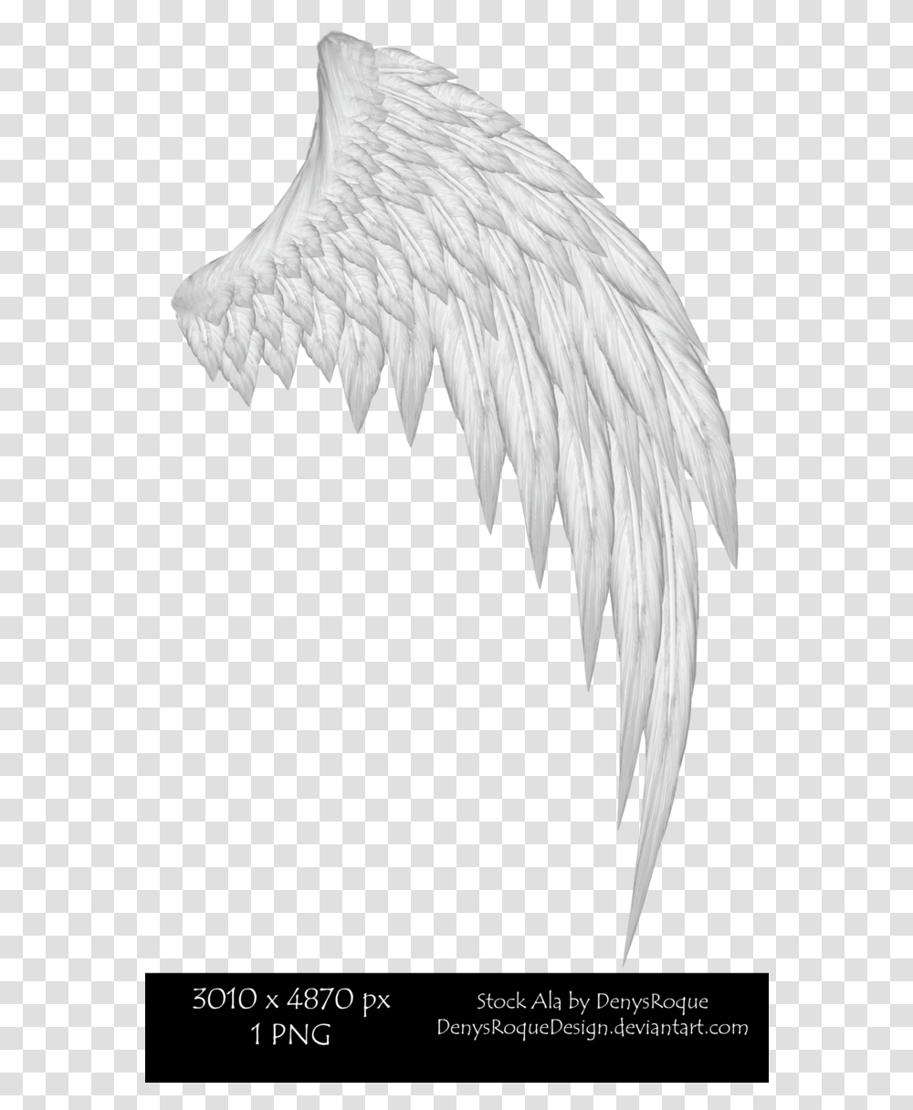 Picture Free Stock Alas De Por Denysroquedesign Illustration, Bird, Animal, Angel Transparent Png