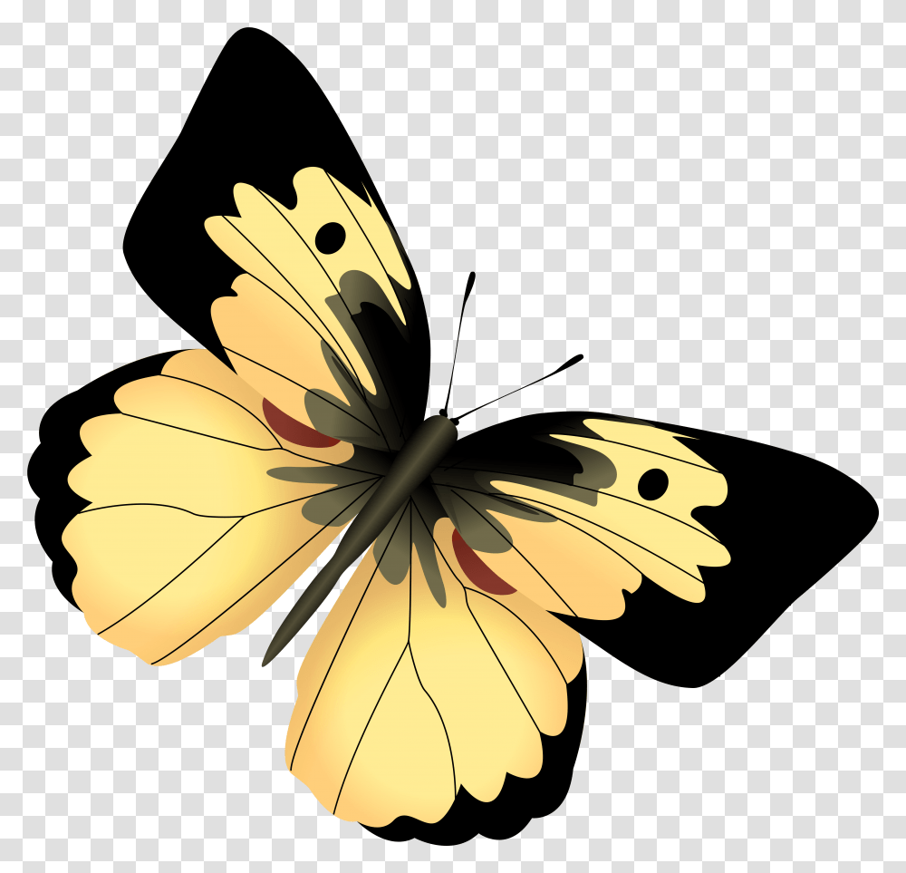 Picture Free Yellow And Image Black Butterfly Clipart, Plant, Flower, Blossom, Hibiscus Transparent Png