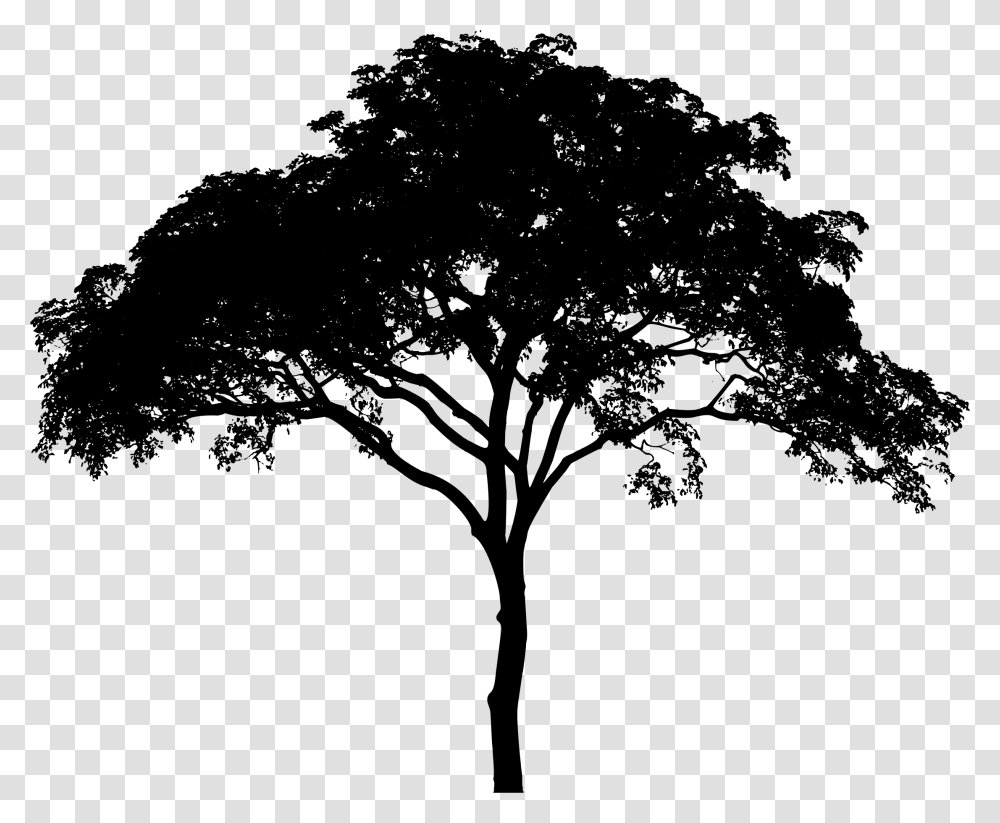 Picture Freeuse Downlo Tree Silhouette Background, Gray, World Of Warcraft Transparent Png