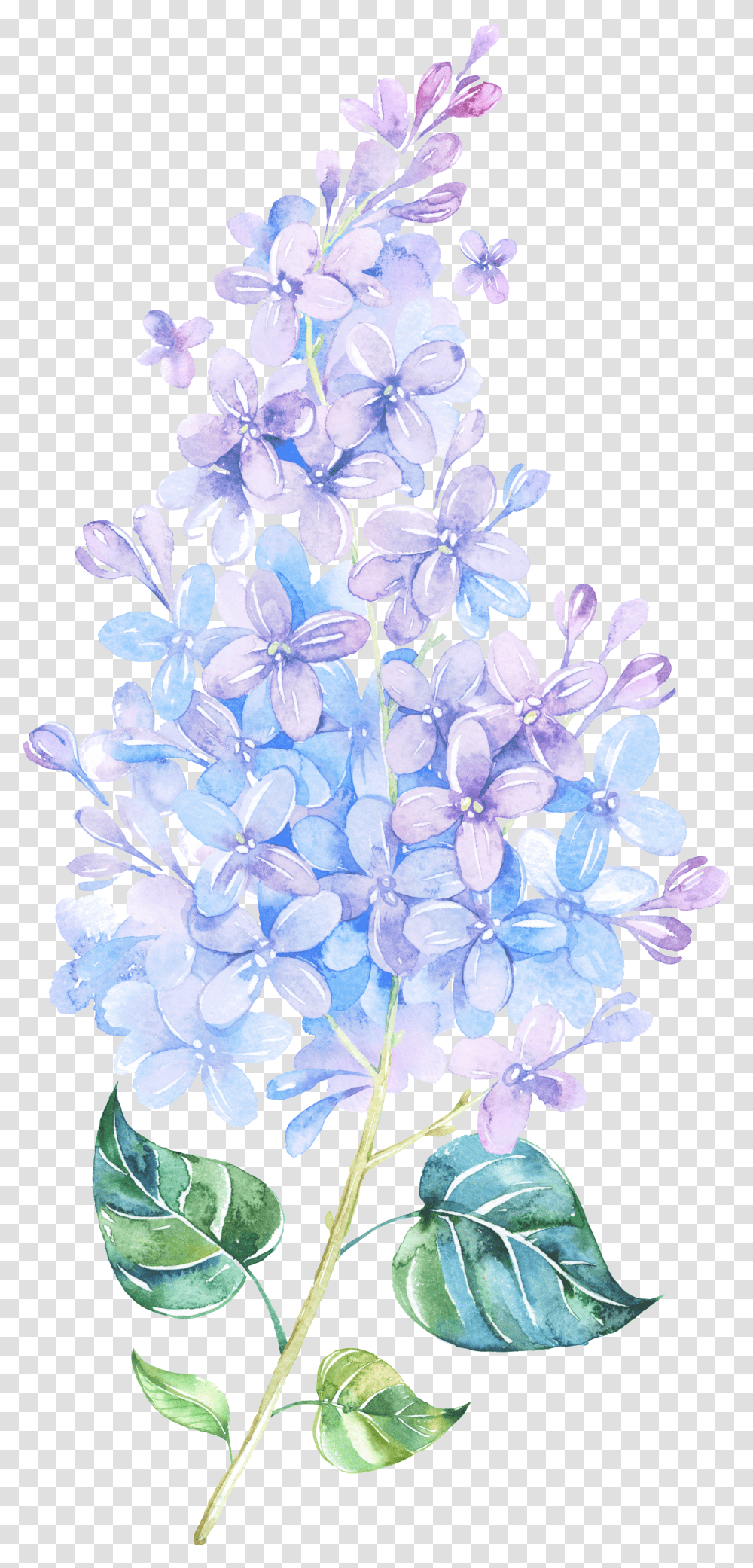 Picture Freeuse Library Flower Lilac Painting Purple Tattoo Watercolor Lilac, Plant, Blossom Transparent Png