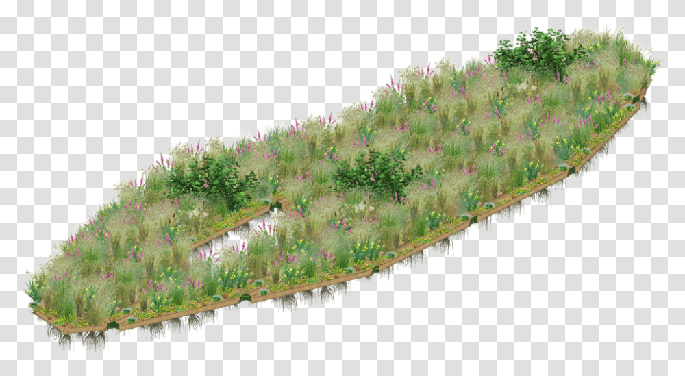 Picture Grass, Tree, Plant, Urban, Bird Transparent Png