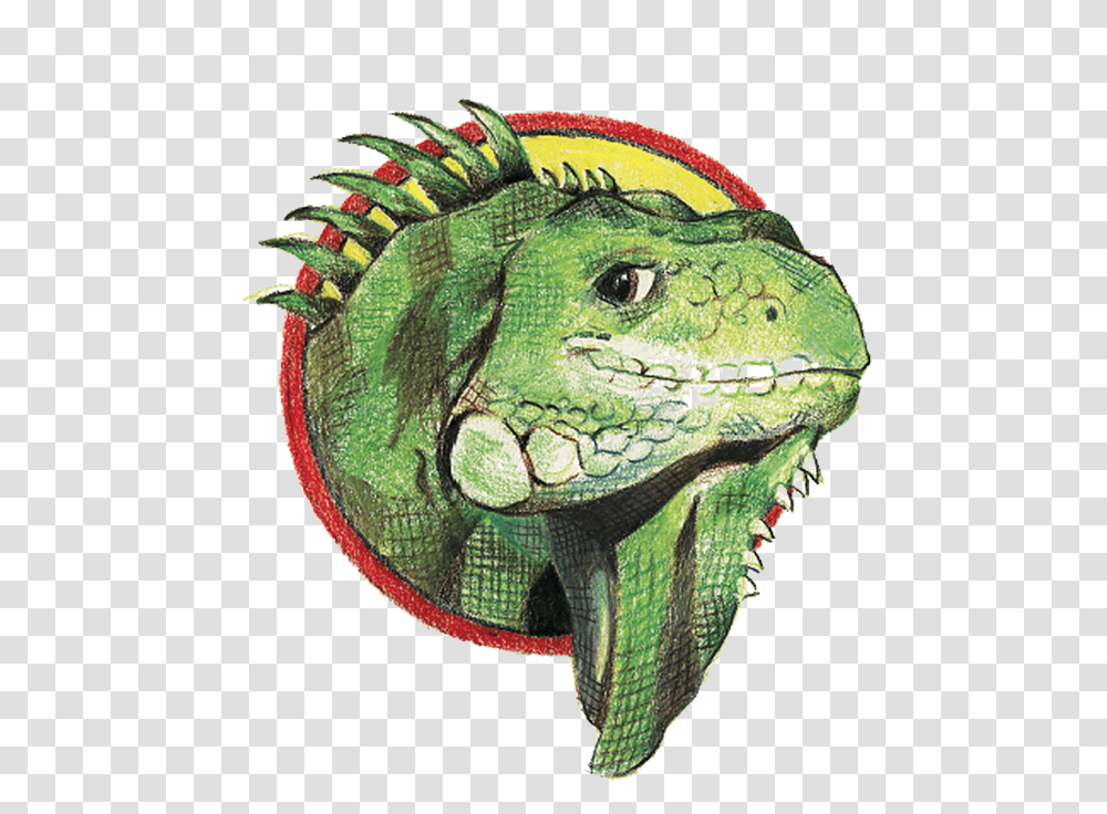 Picture Green Iguana, Lizard, Reptile, Animal, Rug Transparent Png