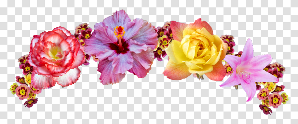 Picture Head Flower Crown, Plant, Blossom, Petal, Hibiscus Transparent Png