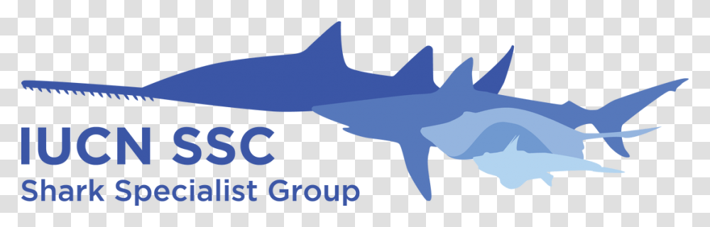 Picture Iucn Shark Specialist Group, Sea Life, Fish, Animal, Great White Shark Transparent Png