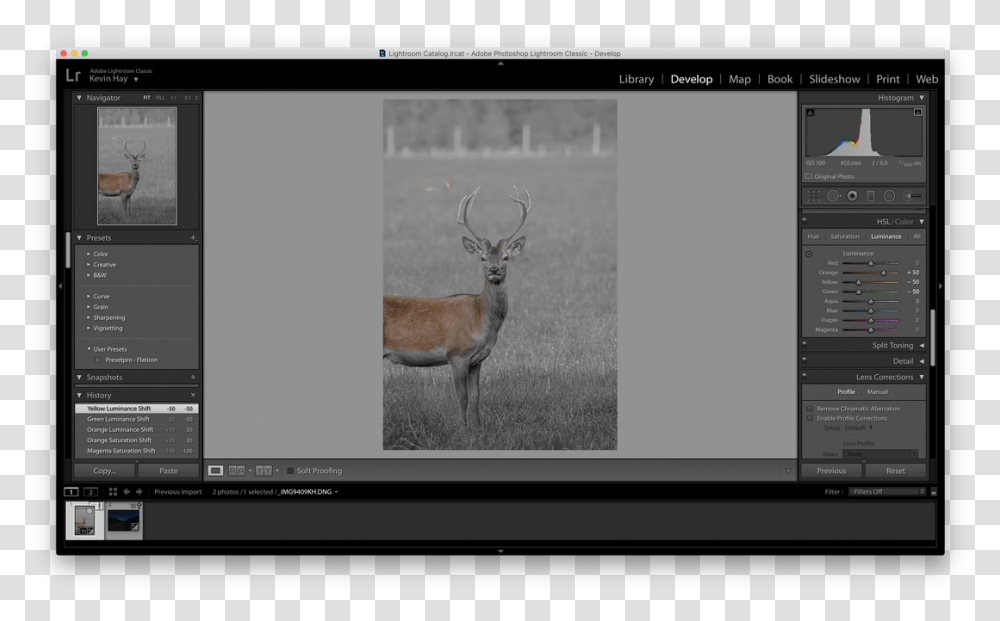 Picture Lightroom, Antelope, Wildlife, Mammal, Animal Transparent Png