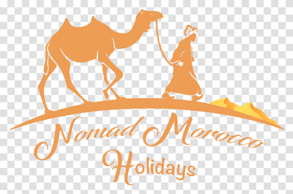 Picture Morocco Tours Logo, Camel, Mammal, Animal, Text Transparent Png
