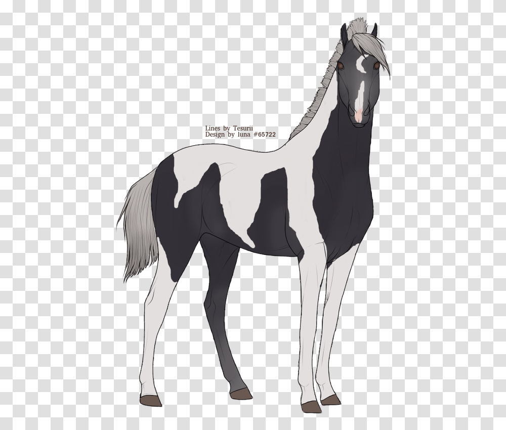 Picture Mustang Horse, Foal, Mammal, Animal, Colt Horse Transparent Png