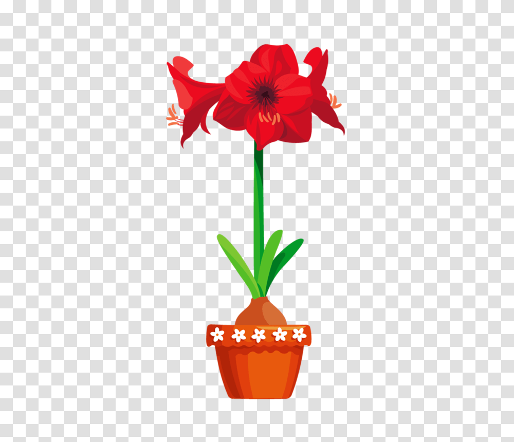 Picture My Garden Valley Flowers, Plant, Blossom, Amaryllis, Amaryllidaceae Transparent Png