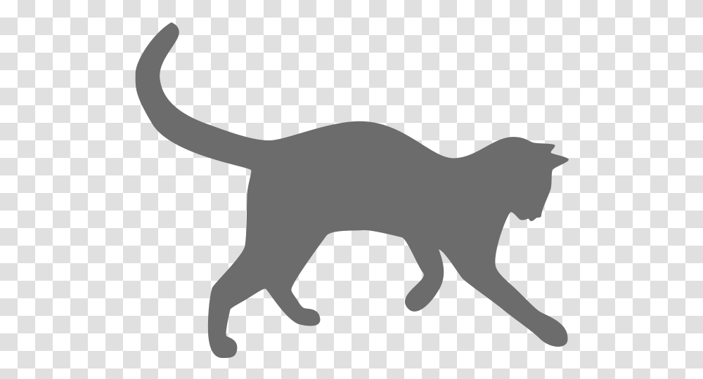 Picture Of Cat Cat Logo Black And White, Animal, Mammal, Wildlife, Cougar Transparent Png