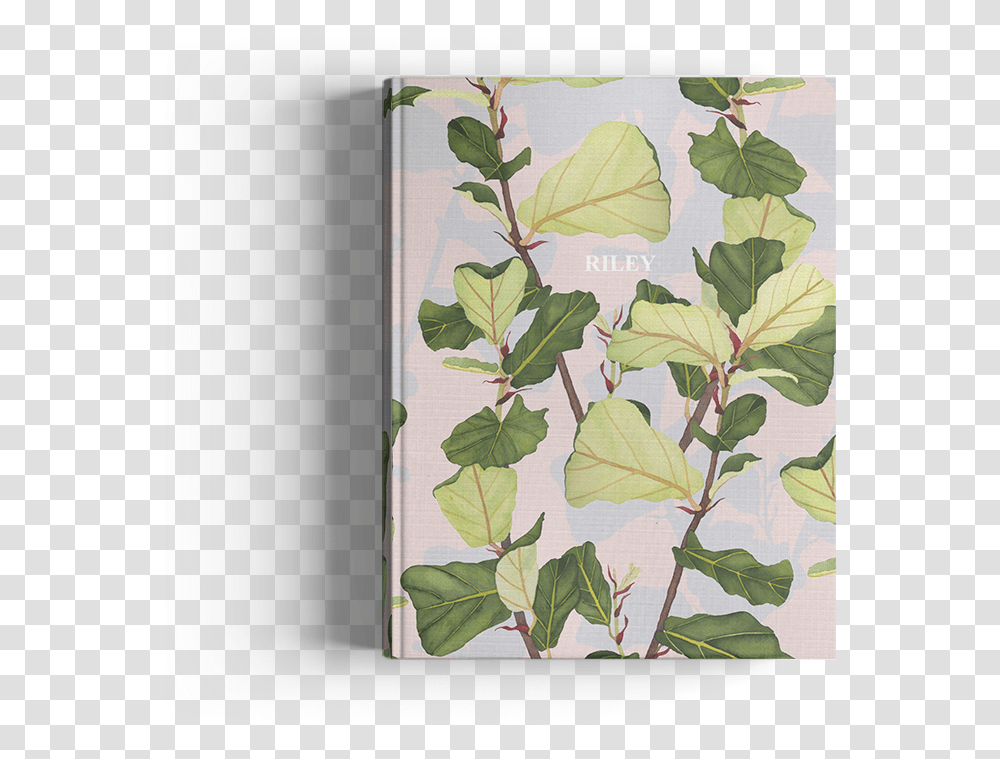Picture Of Fiddle Leaf Fig Journal, Plant, Produce, Food Transparent Png