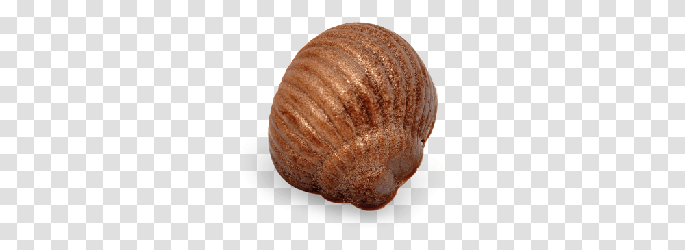 Picture Of Gamme ChocolatSrc Http Profiterole, Sea Life, Animal, Clam, Seashell Transparent Png