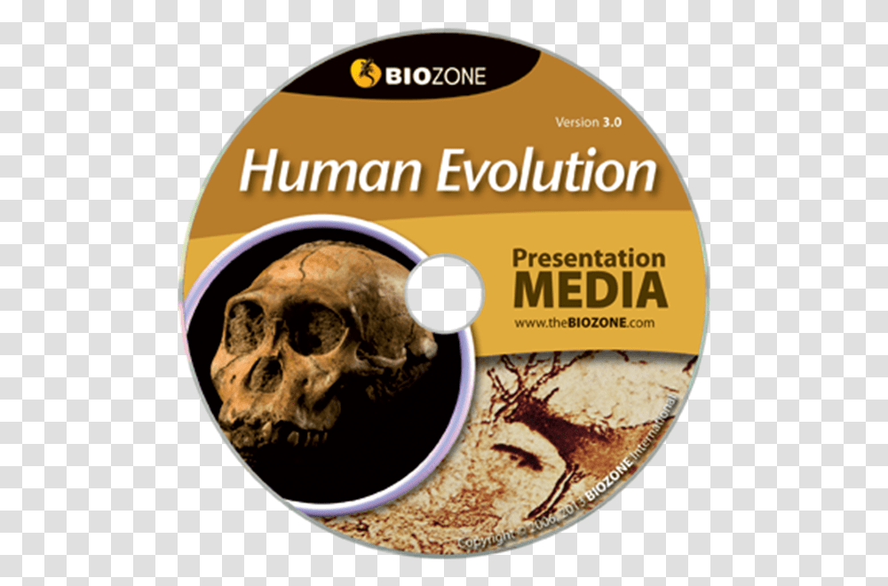 Picture Of Human Evolution Evolution, Disk, Dvd Transparent Png