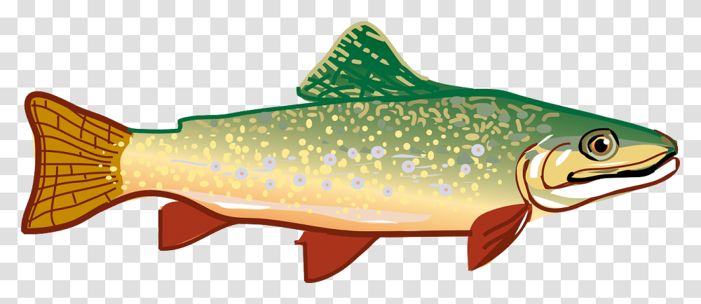 Picture Of Milk Picture Of Meat Picture Of Fish Trout Clipart, Animal, Cod Transparent Png