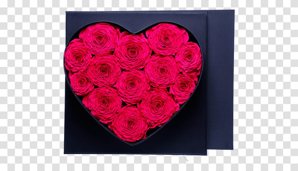 Picture Of My Heart For You Garden Roses, Plant, Cushion, Flower, Blossom Transparent Png
