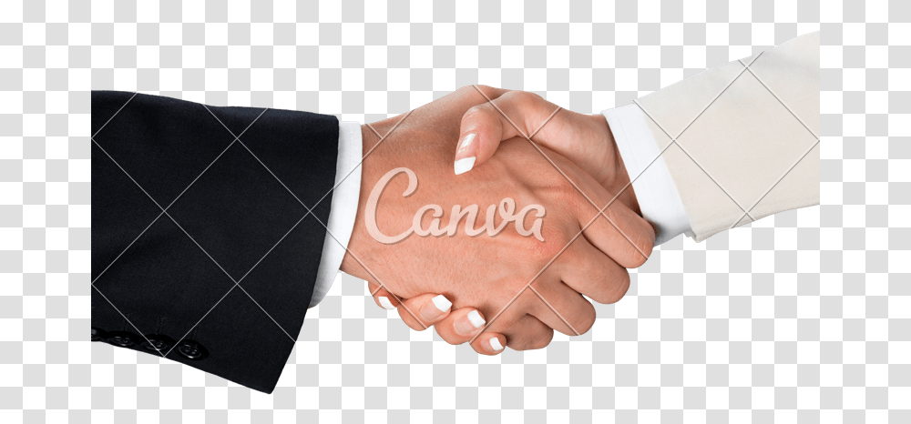 Picture Of People Shaking Hands Men And Women Shaking Hands, Person, Human, Handshake, Holding Hands Transparent Png