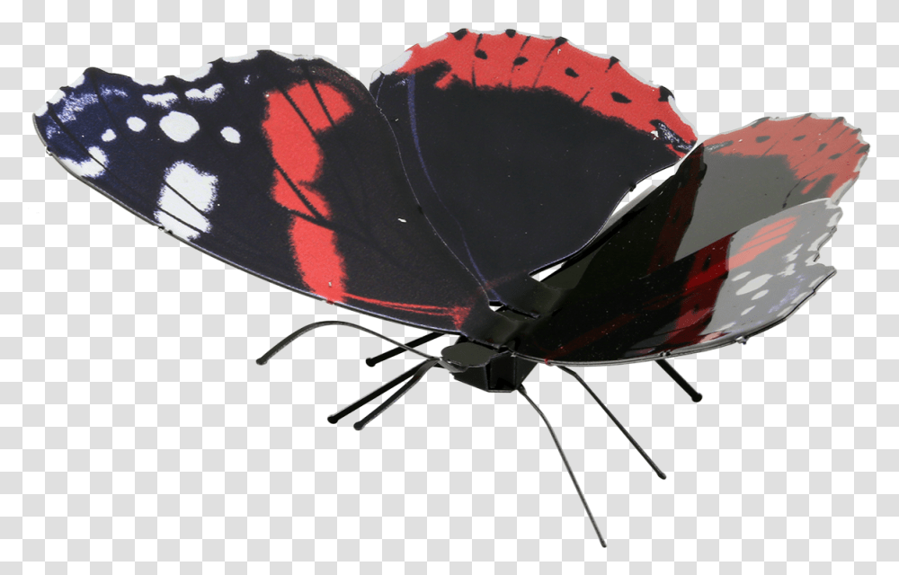 Picture Of Red Admiral Butterfly, Insect, Invertebrate, Animal, Moth Transparent Png