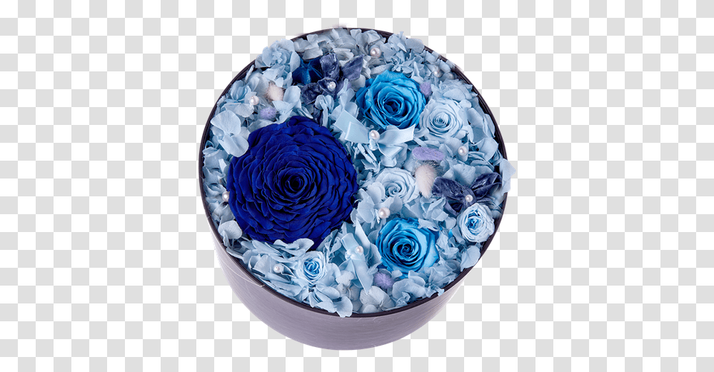 Picture Of Starry Sky Flower Blue Box, Pattern, Floral Design Transparent Png