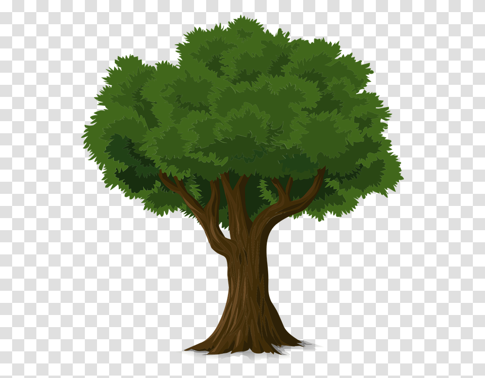 Picture Of Tree Group With Items, Plant, Bush, Vegetation, Oak Transparent Png