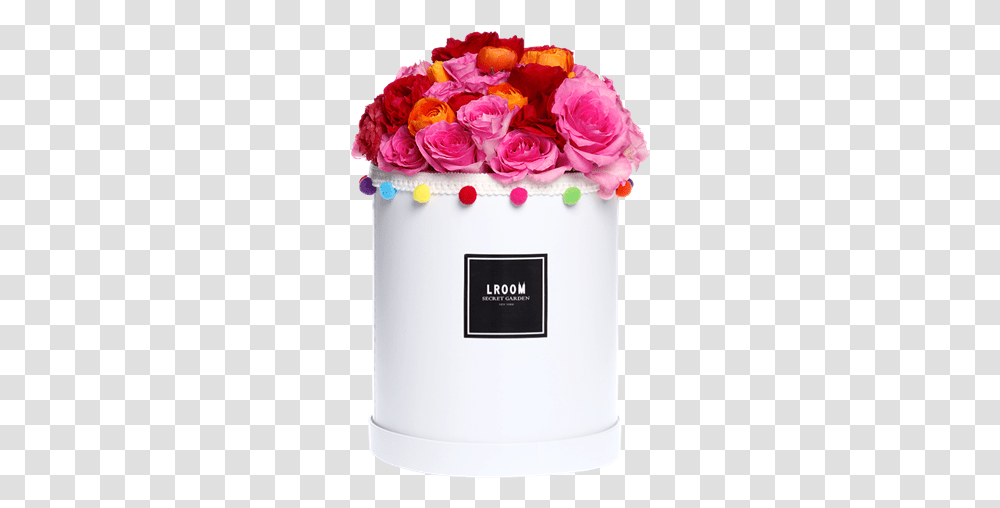 Picture Of Yes Love Garden Roses, Plant, Flower, Blossom, Petal Transparent Png