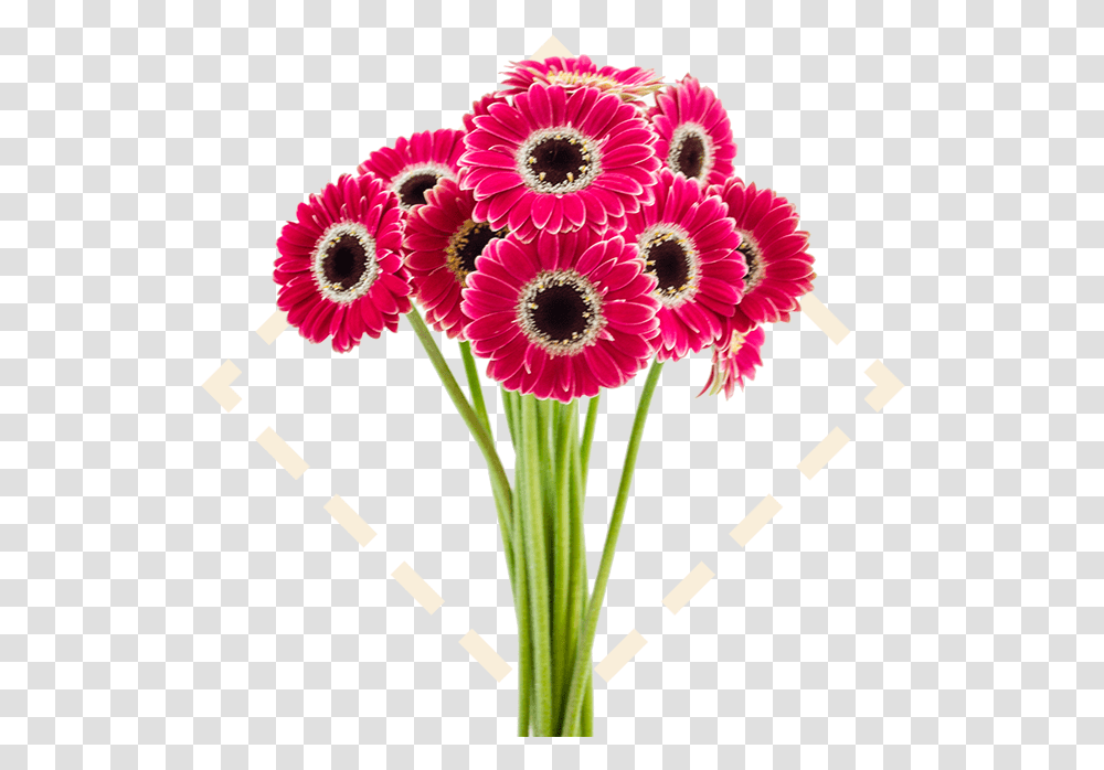 Picture Offlowers Svg Stock Welcome To Bayview Flowers Good Afternoon, Plant, Floral Design Transparent Png