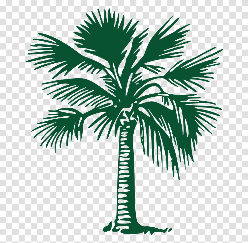 Picture Palm Trees, Plant, Arecaceae, Bird, Animal Transparent Png