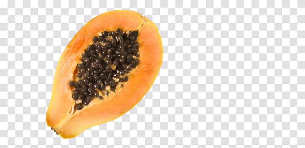 Picture Papaya, Plant, Fruit, Food Transparent Png