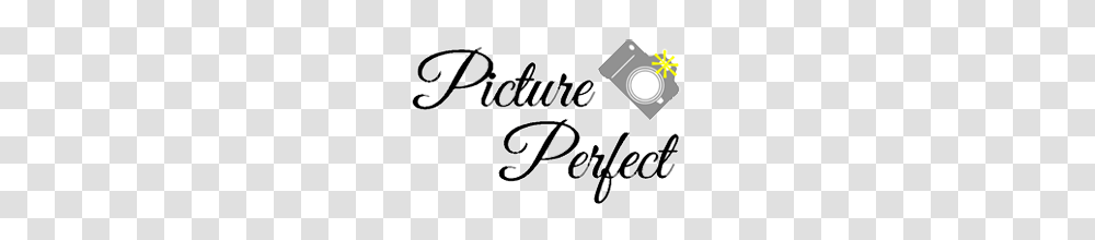 Picture Perfect Photobooth Rentals, Handwriting, Calligraphy, Label Transparent Png