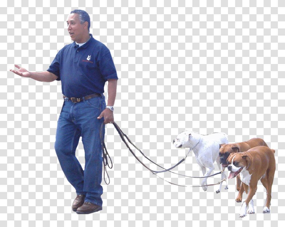 Picture Police Dog, Person, Pants, Rope Transparent Png