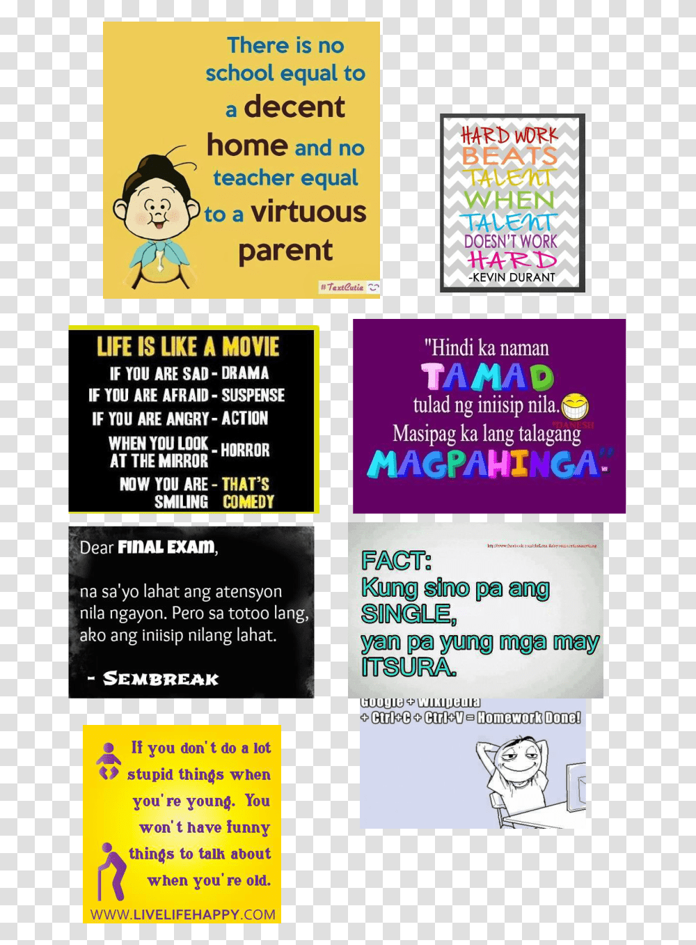 Picture Poster, Advertisement, Flyer, Paper, Brochure Transparent Png