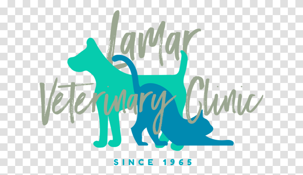 Picture Puppy, Calligraphy, Handwriting, Label Transparent Png