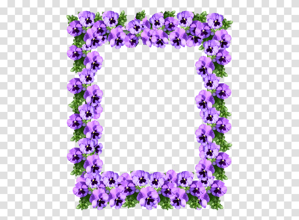 Picture Purple Floral Border Designs, Plant, Flower, Blossom, Flower Arrangement Transparent Png
