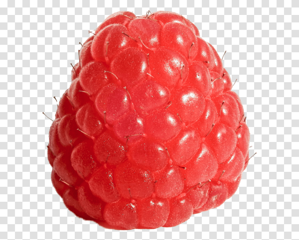 Picture Raspberry, Fruit, Plant, Food, Rose Transparent Png