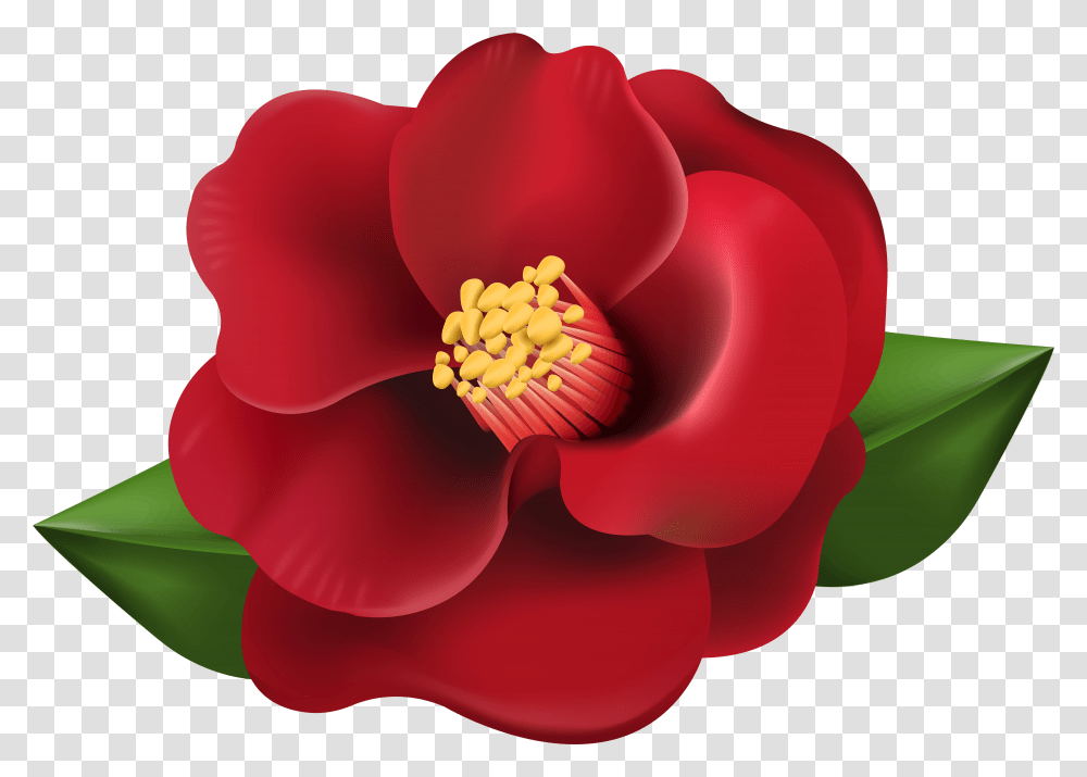 Picture Red Flower Clipart Transparent Png