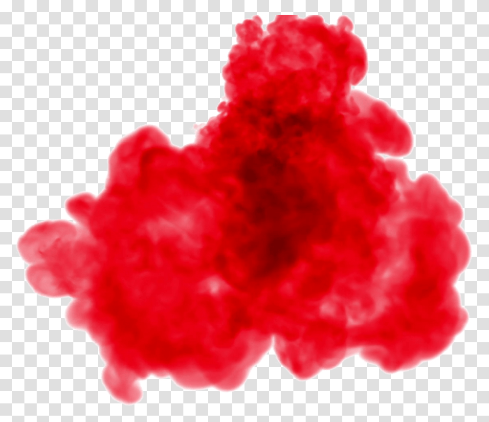 Picture Red Smoke Hd, Rose, Flower, Plant, Blossom Transparent Png