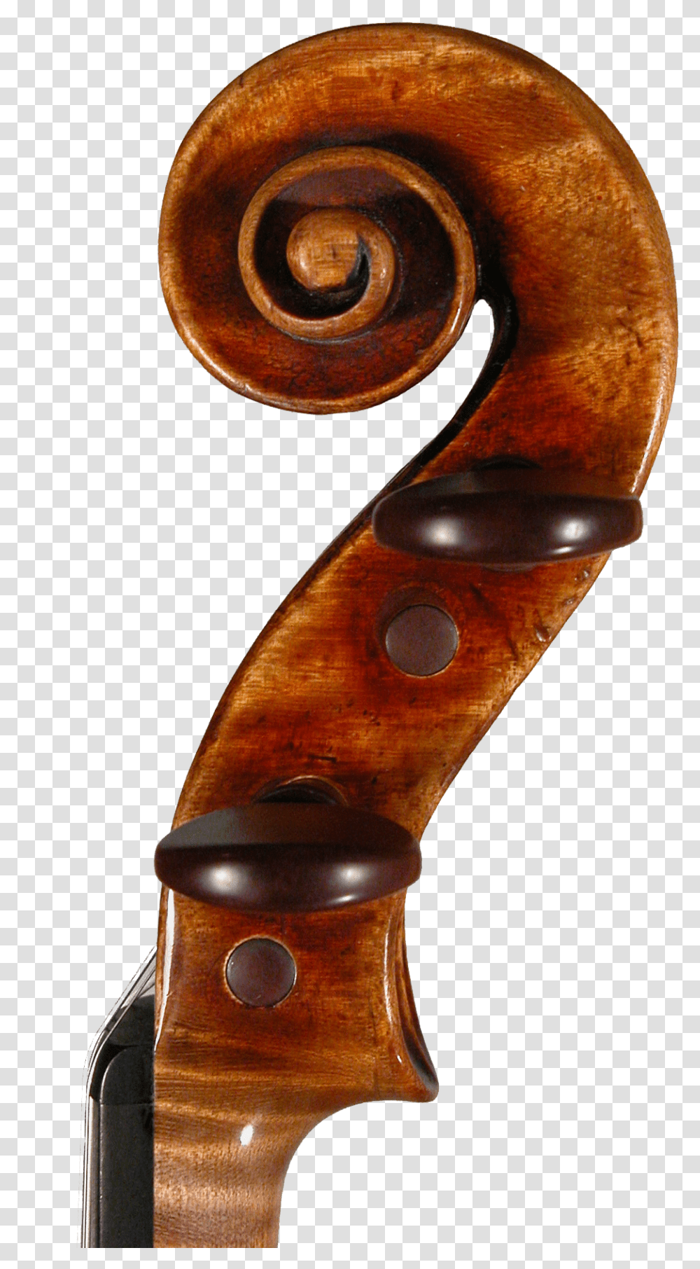 Picture Right Side Scroll Violin Violin Scroll, Musical Instrument, Cello, Leisure Activities, Viola Transparent Png