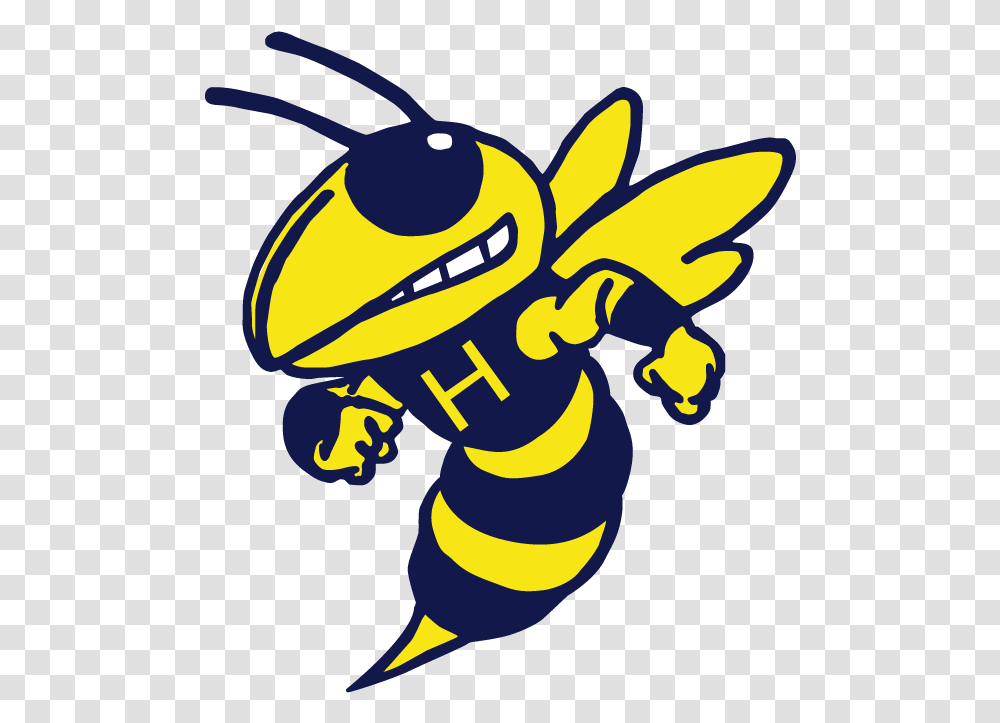 Picture Royalty Free Hillsdale High School Hornets, Apidae, Bee, Insect, Invertebrate Transparent Png