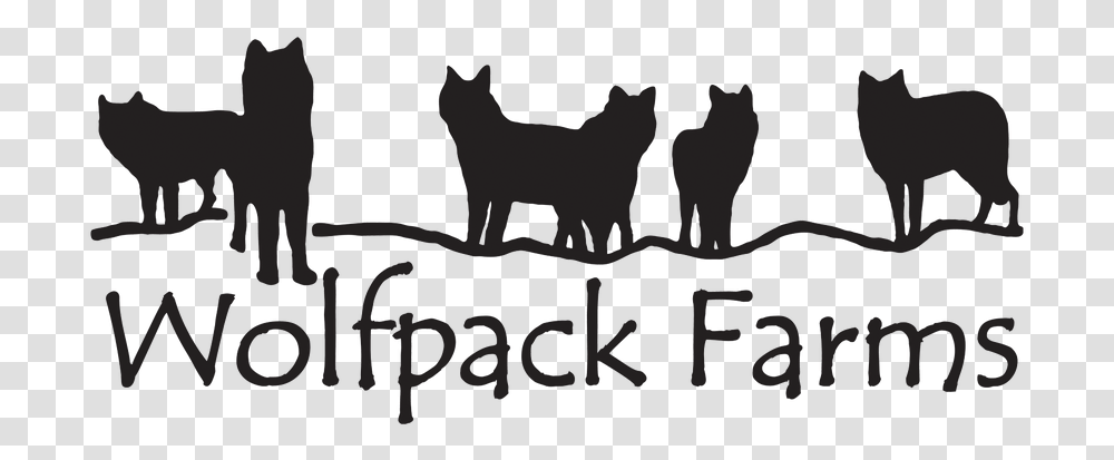 Picture Silhouette Of Wolf Pack, Furniture, Label, Table Transparent Png