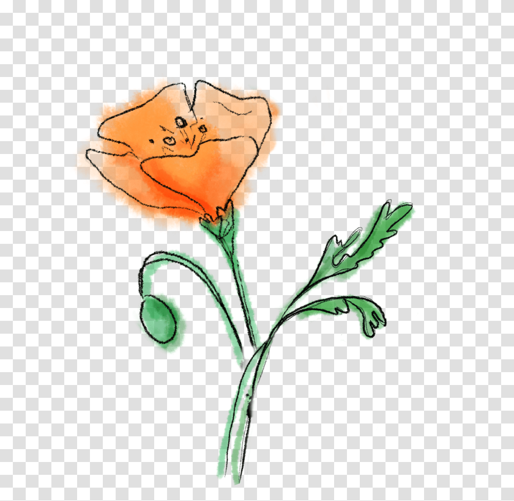 Picture Sketch, Plant, Flower, Blossom, Petal Transparent Png