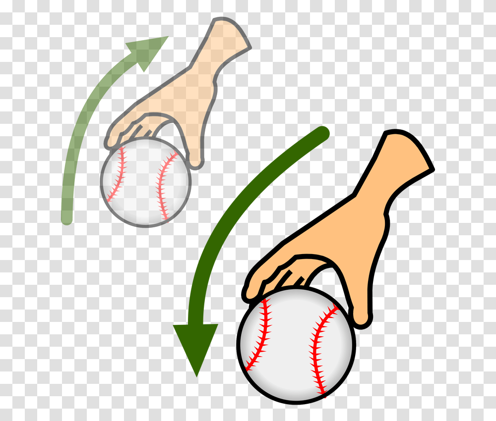 Picture, Team Sport, Sports, Baseball, Softball Transparent Png