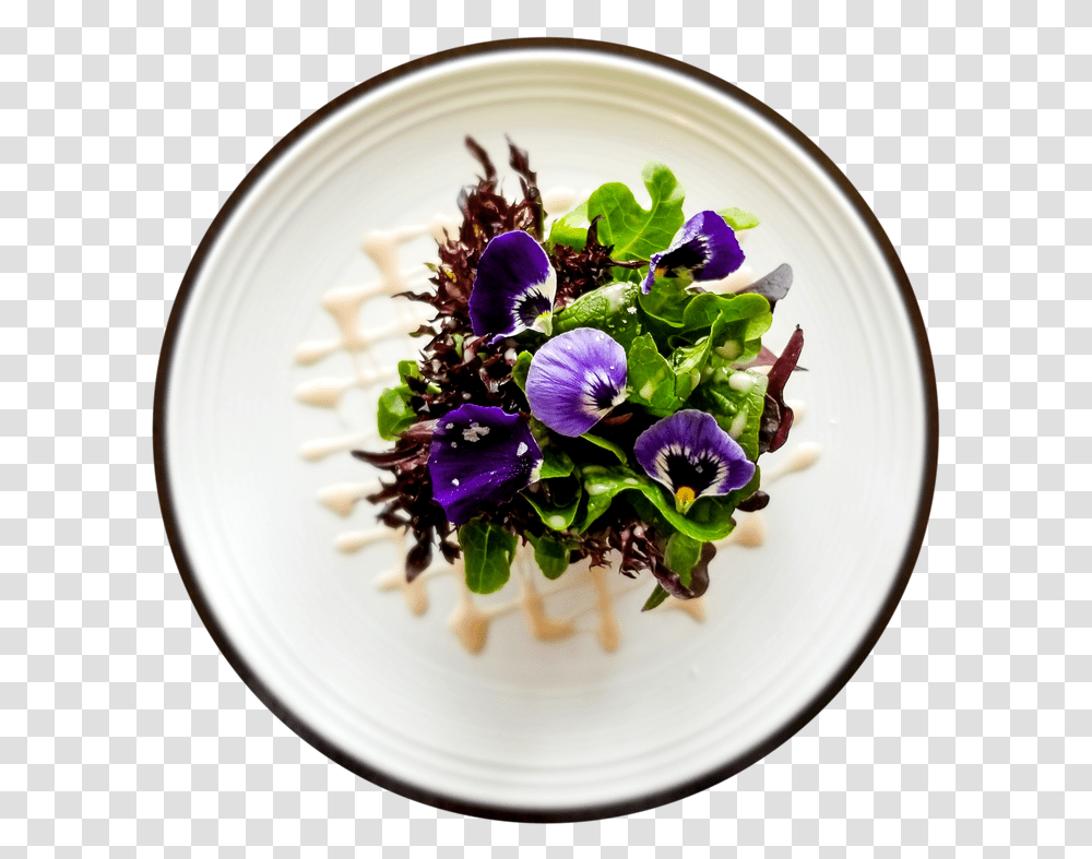 Pictured Aerial View Of Menu Item, Plant, Flower, Blossom, Dish Transparent Png
